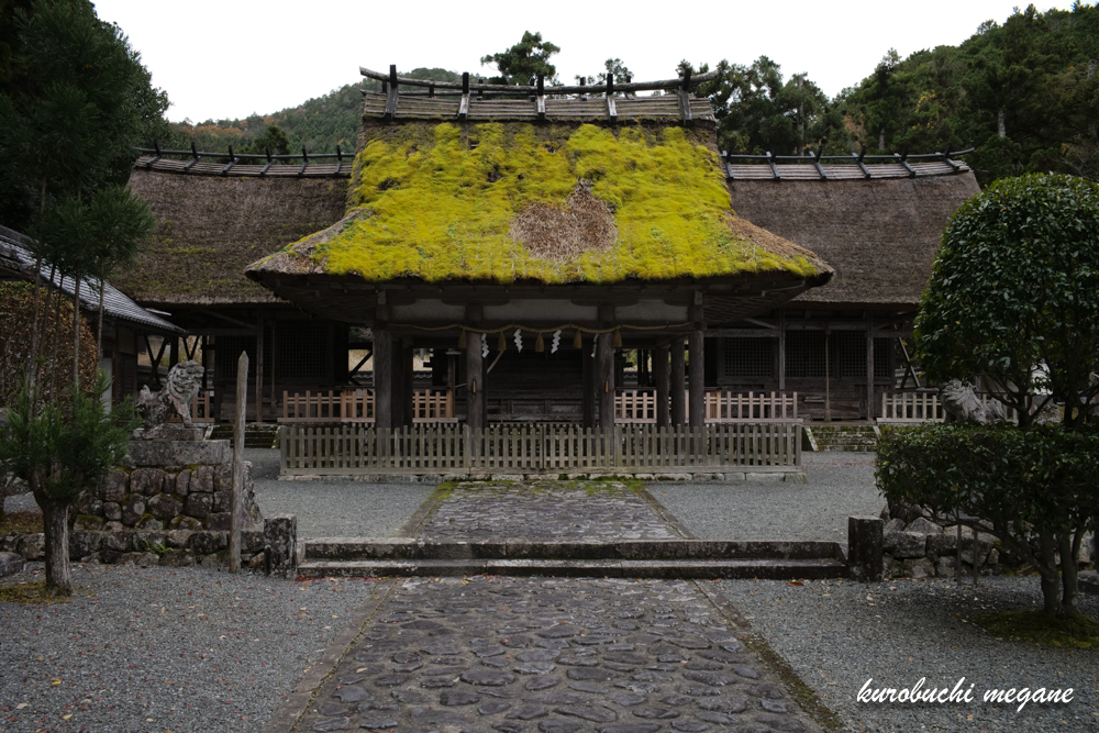 f:id:Z13:20210228145450j:plain