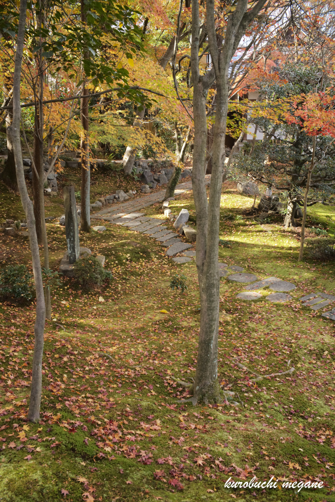 f:id:Z13:20210310214739j:plain