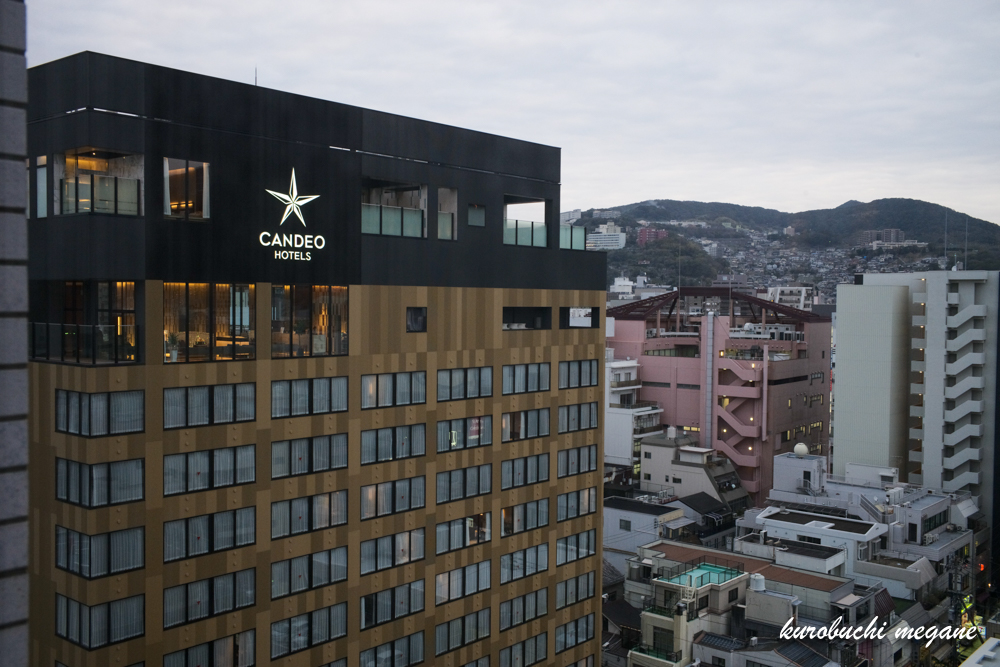 f:id:Z13:20210602191053j:plain