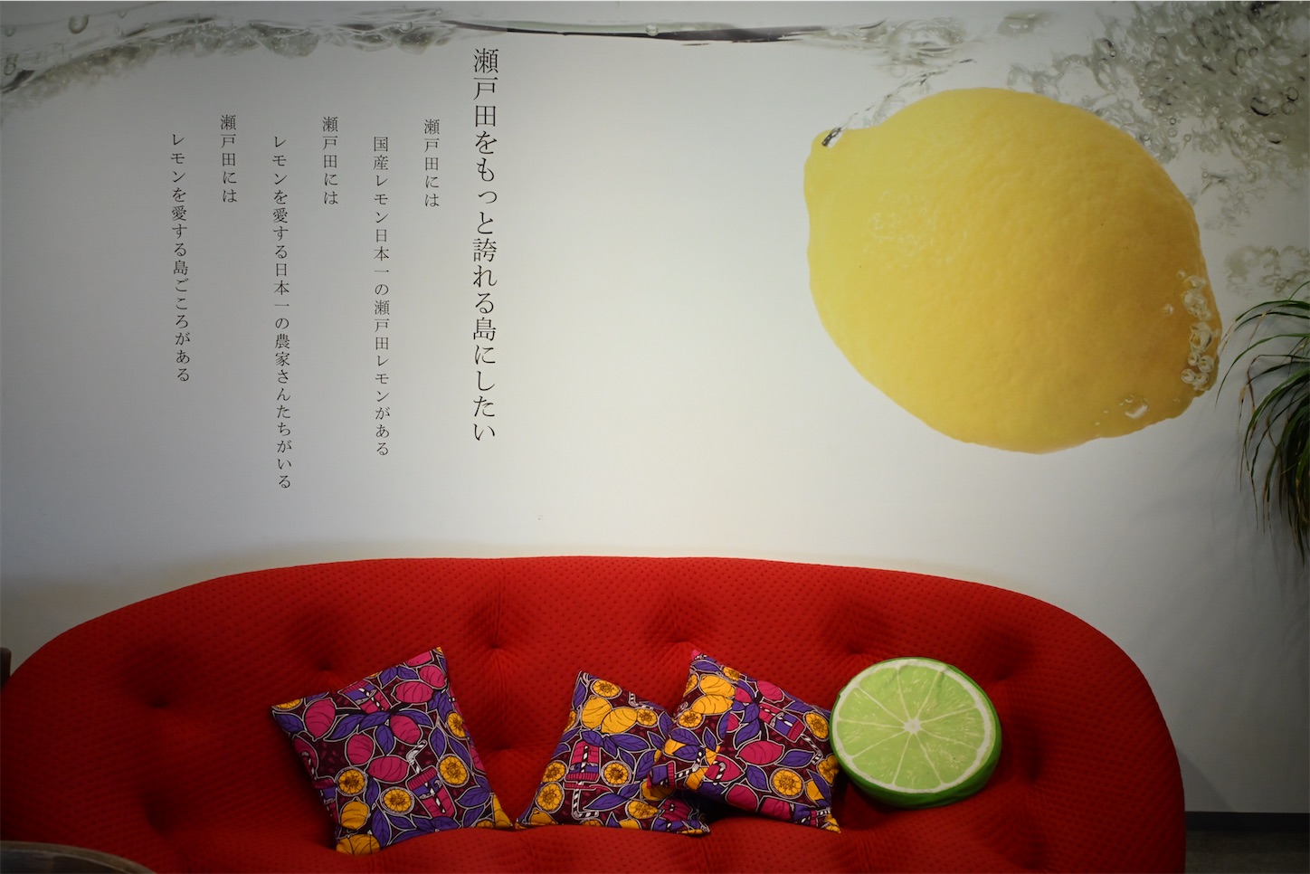 f:id:Z13:20231029175959j:image