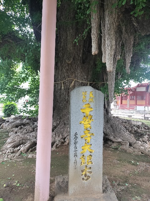 f:id:Z400LTD:20250523115057j:image f:id:Z400LTD:20250523115057j:image