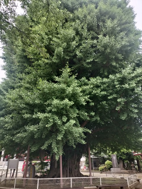 f:id:Z400LTD:20250523115114j:image f:id:Z400LTD:20250523115114j:image