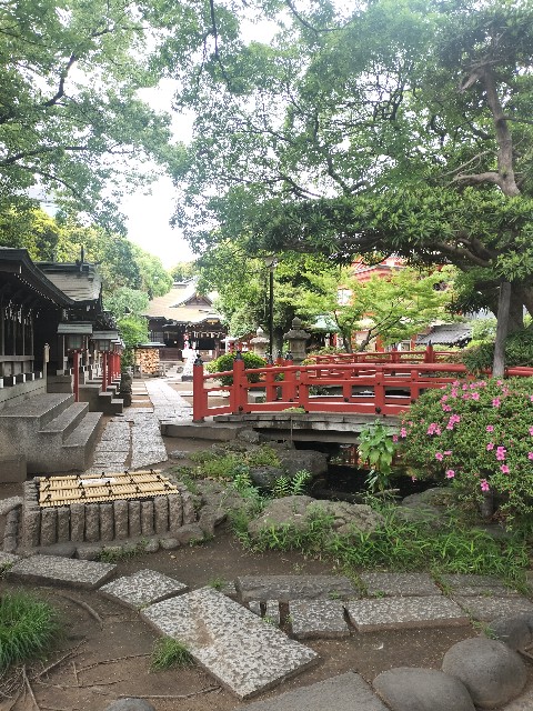 f:id:Z400LTD:20250523121509j:image f:id:Z400LTD:20250523121509j:image