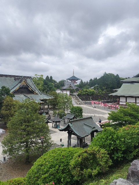 f:id:Z400LTD:20250523124122j:image f:id:Z400LTD:20250523124122j:image