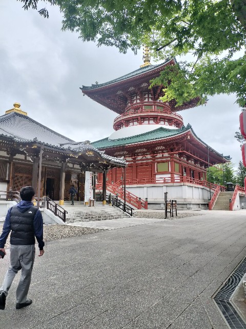 f:id:Z400LTD:20250523124143j:image f:id:Z400LTD:20250523124143j:image