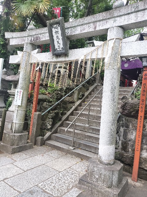 f:id:Z400LTD:20250523124423j:image f:id:Z400LTD:20250523124423j:image