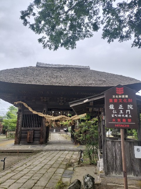 f:id:Z400LTD:20250523131628j:image f:id:Z400LTD:20250523131628j:image