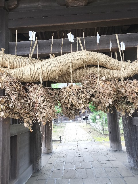 f:id:Z400LTD:20250523131646j:image f:id:Z400LTD:20250523131646j:image