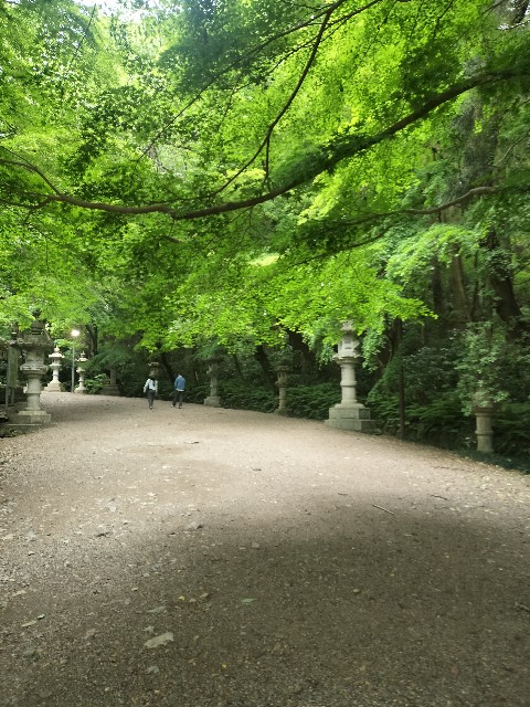 f:id:Z400LTD:20250523141913j:image f:id:Z400LTD:20250523141913j:image