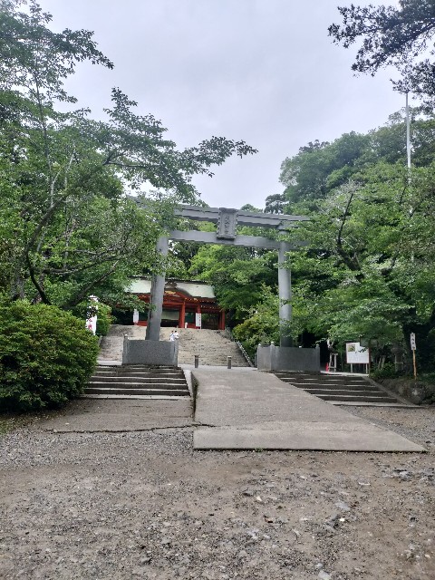 f:id:Z400LTD:20250523141950j:image f:id:Z400LTD:20250523141950j:image