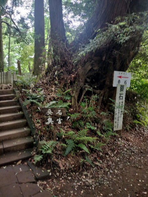 f:id:Z400LTD:20250523142630j:image f:id:Z400LTD:20250523142630j:image