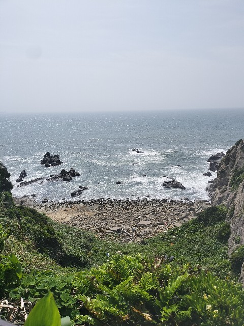 f:id:Z400LTD:20250524110346j:image