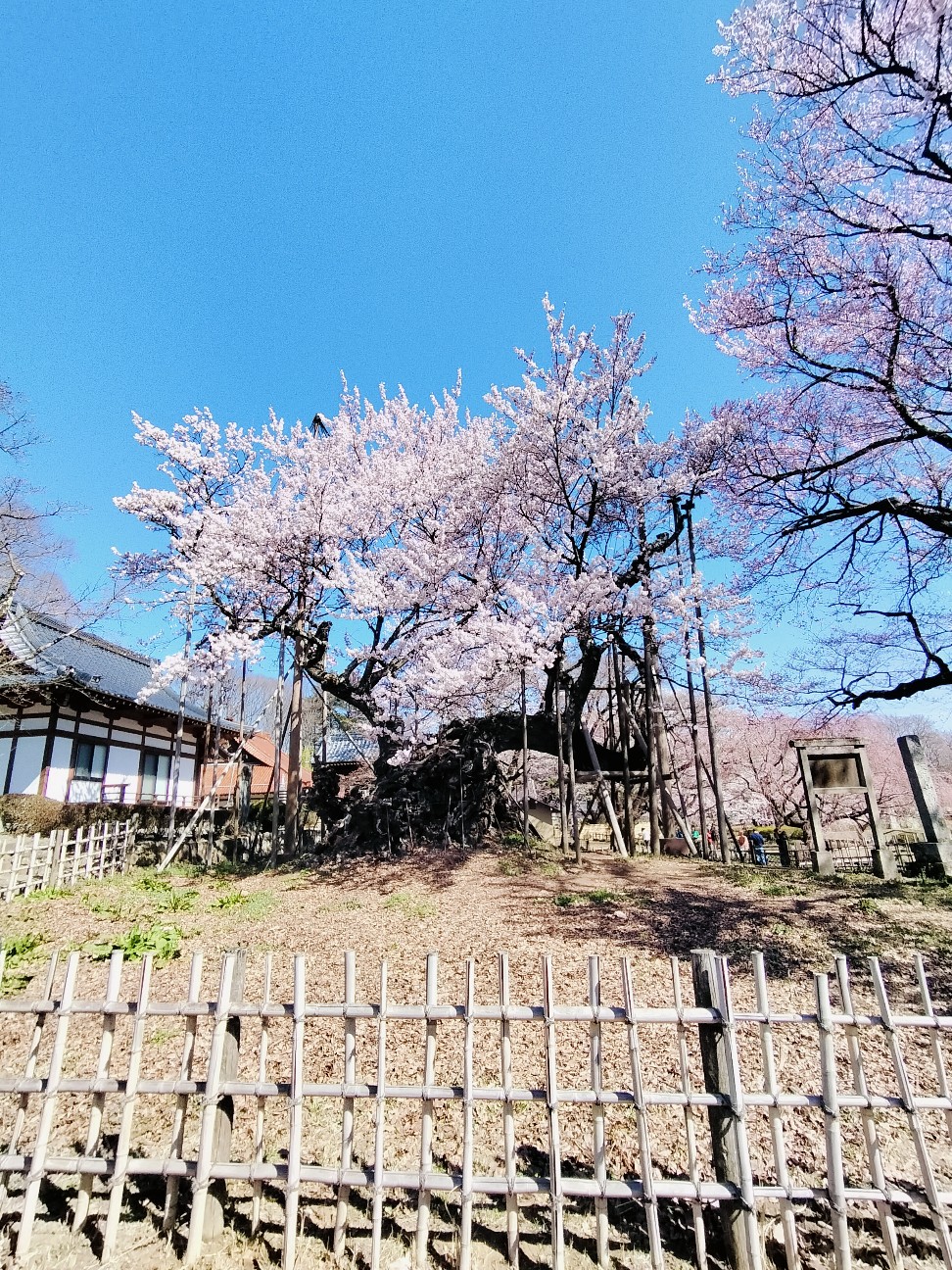 f:id:Z400LTD:20260907190823j:image