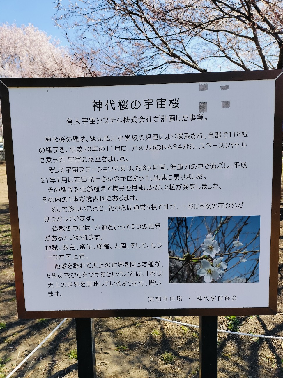f:id:Z400LTD:20260907191100j:image