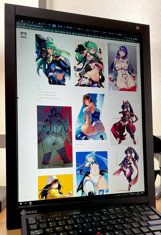 EIZO RadiForce RX340 - SHO Page