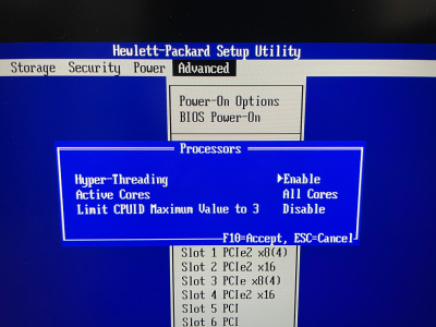 hp Z600 Workstation - SHO Page