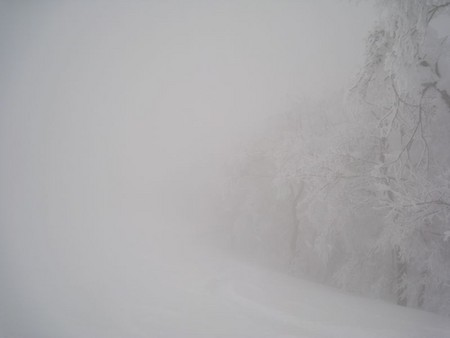 f:id:Z80:20080228153654j:image f:id:Z80:20080228153654j:image