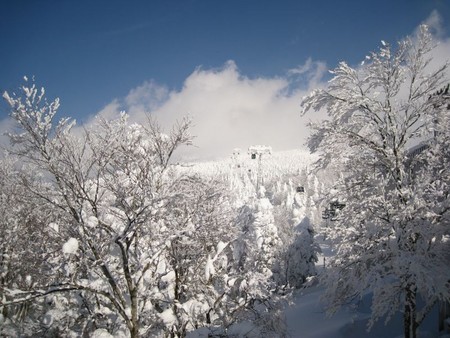 f:id:Z80:20080229144245j:image f:id:Z80:20080229144245j:image
