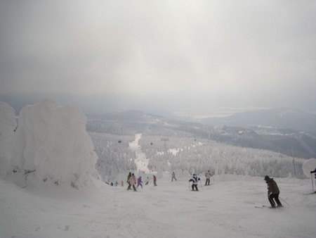 f:id:Z80:20080229151159j:image f:id:Z80:20080229151159j:image
