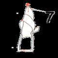 20080803214749