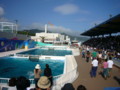 [鴨川シーワールド][水族館]