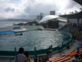 [鴨川シーワールド][水族館]