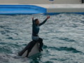 [鴨川シーワールド][水族館]