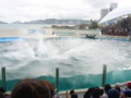 [鴨川シーワールド][水族館]