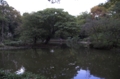 [公園]有栖川宮記念公園