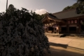 [八重垣神社]正面