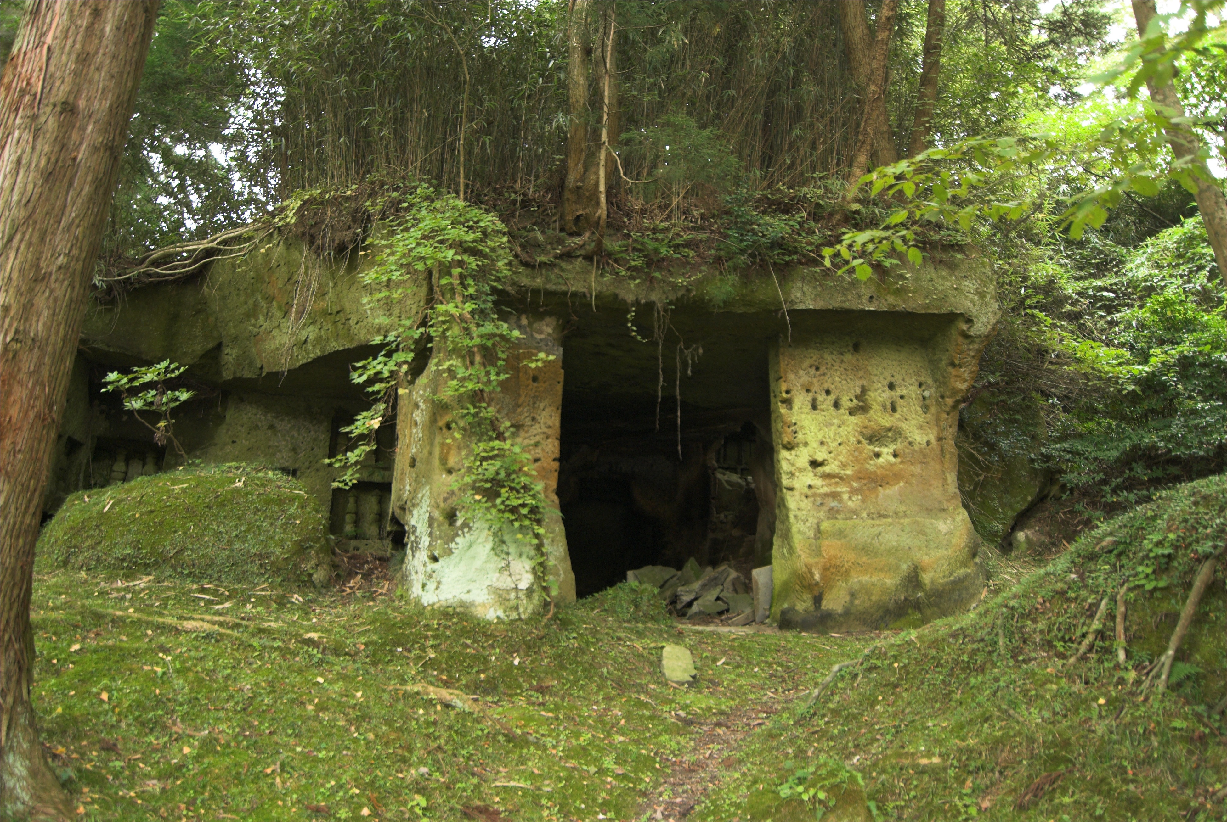 個別「太古の昔の遺跡みたい」の写真、画像 宮城 松島 いい夢 旅気分