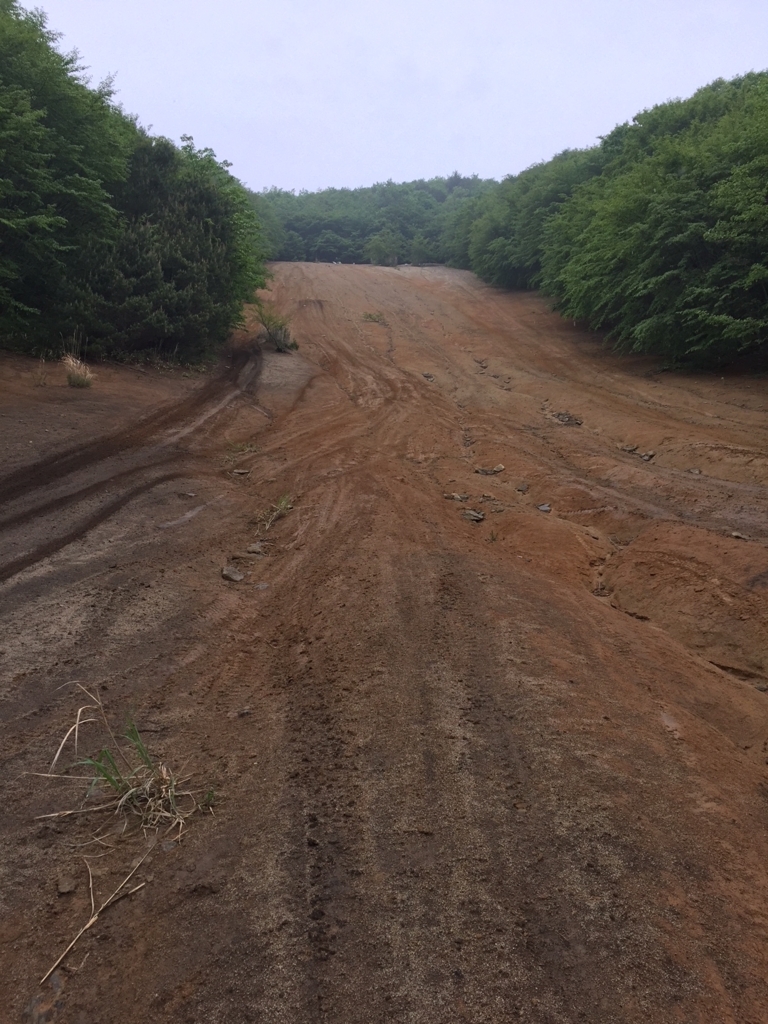 f:id:ZAWA-chan:20180523000103j:plain