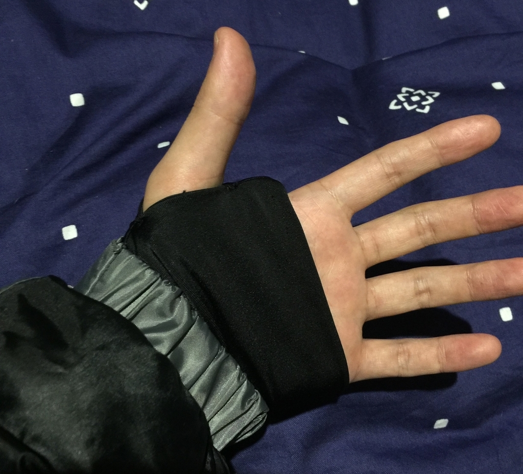 f:id:ZAWA-chan:20190205232826j:plain