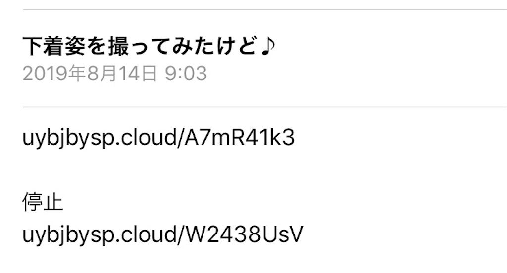 f:id:ZAWAnoBLOG:20191220105723j:image
