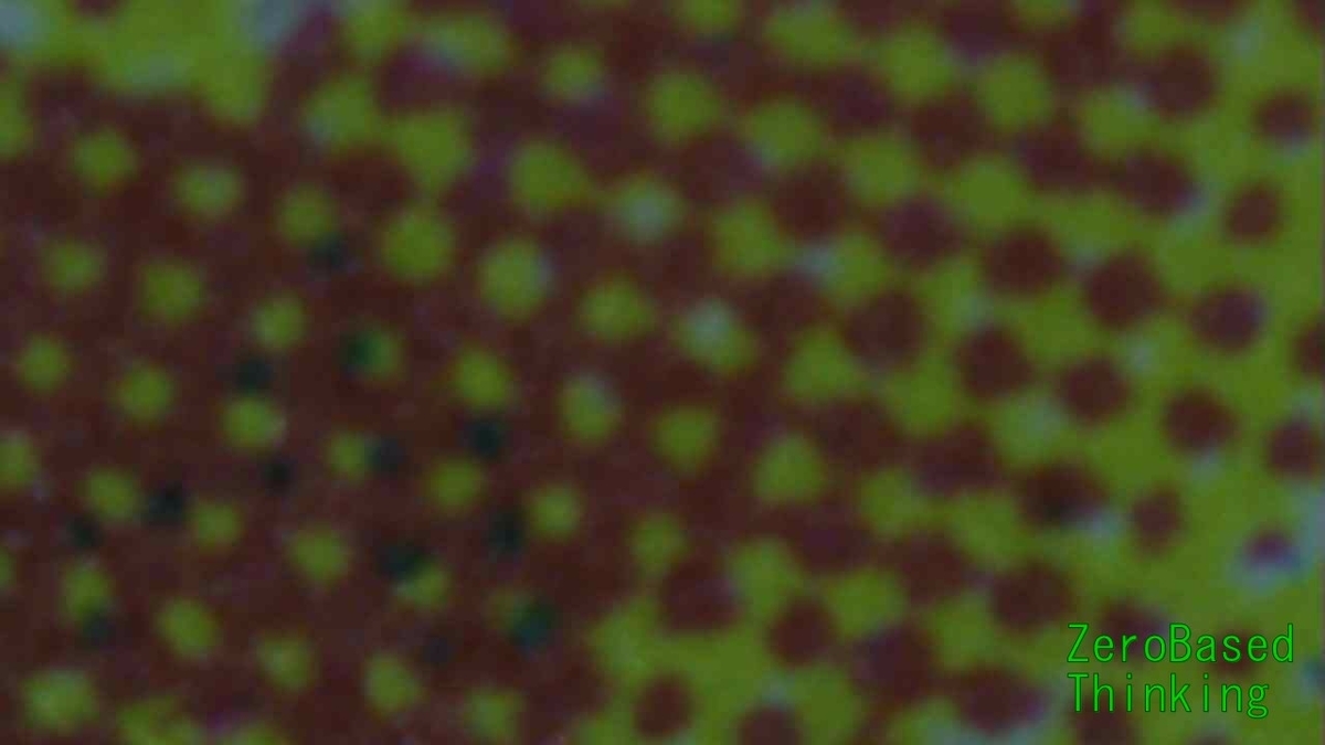 f:id:ZB_Thinking:20191203110618j:plain f:id:ZB_Thinking:20191203110618j:plain