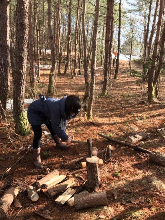 f:id:ZESDA:20170317182450j:plain