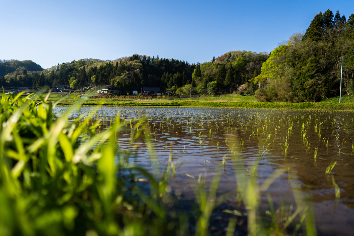 f:id:ZESDA:20190508163850j:plain f:id:ZESDA:20190508163850j:plain