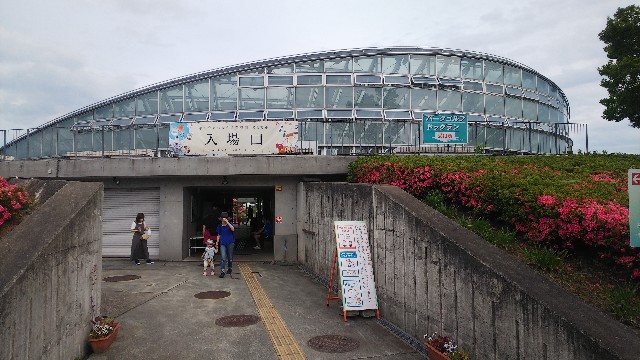 f:id:ZIZILife:20210621214823j:image