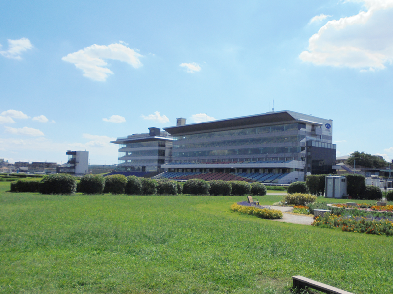 Jbc 浦和競馬場の予習にどうぞ 番外編 Pogで金目のものを