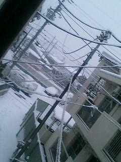 f:id:ZOKKAI:20060121164815j:image:w100 f:id:ZOKKAI:20060121164815j:image:w100