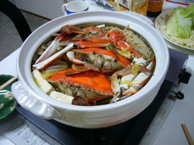 f:id:ZONET:20101013211347j:image