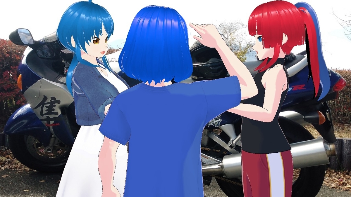 f:id:ZZR1100DJAM:20220127015048j:plain