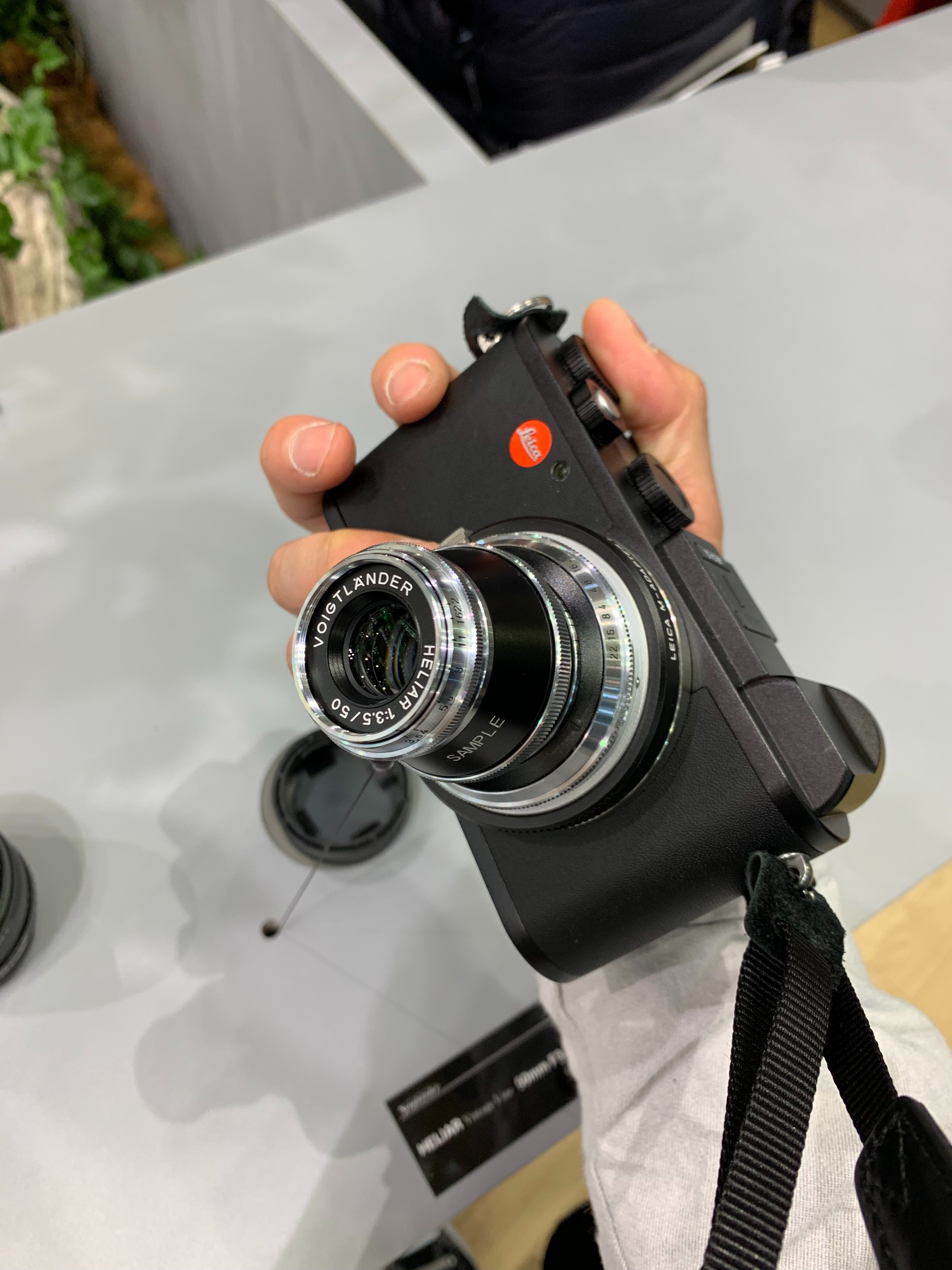 f:id:Zabilio:20190302194722j:plain