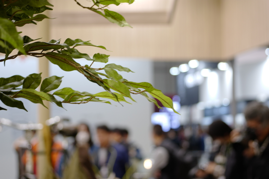 f:id:Zabilio:20190303103904j:plain