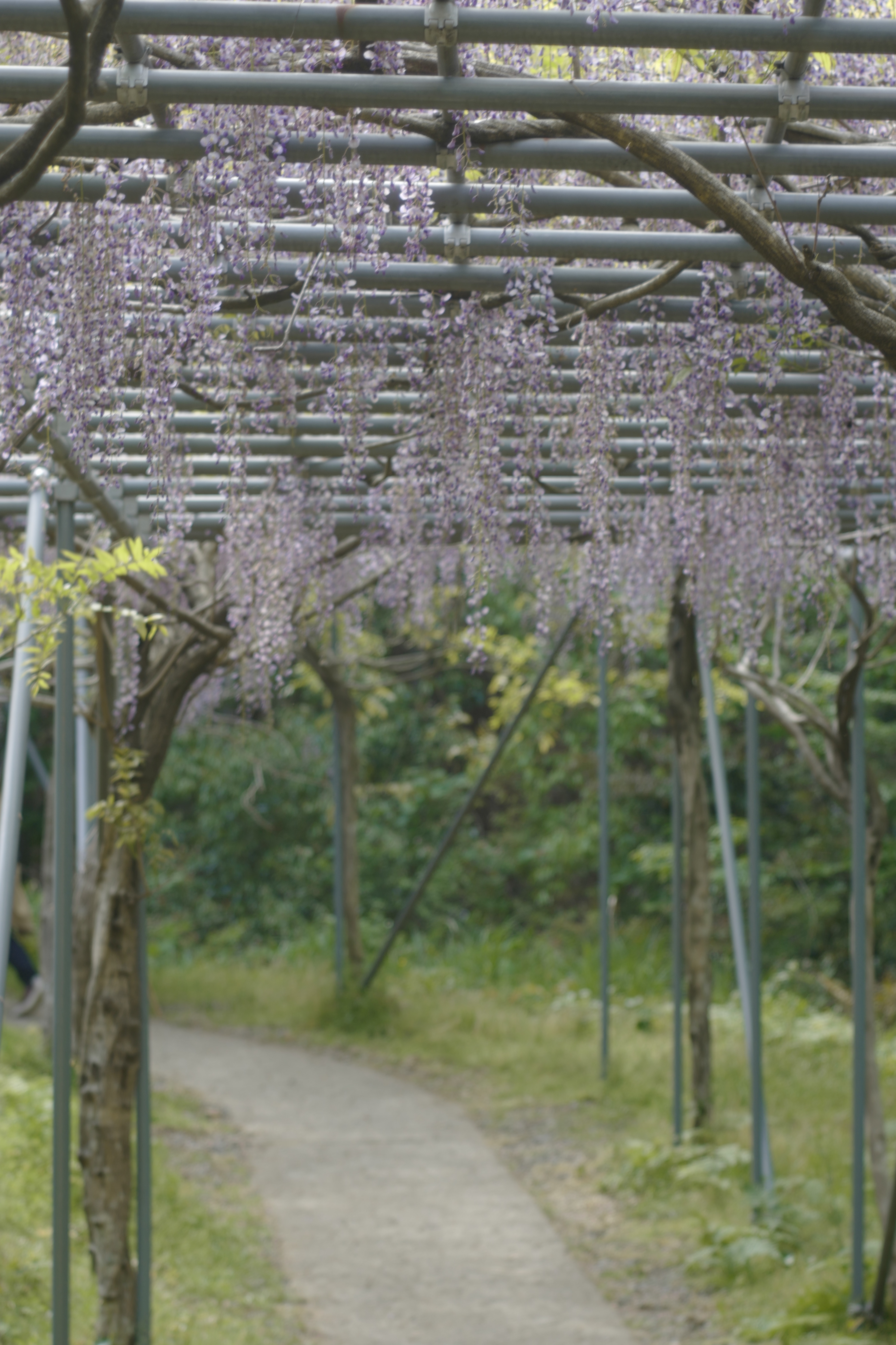f:id:Zabilio:20190503232838j:plain f:id:Zabilio:20190503232838j:plain