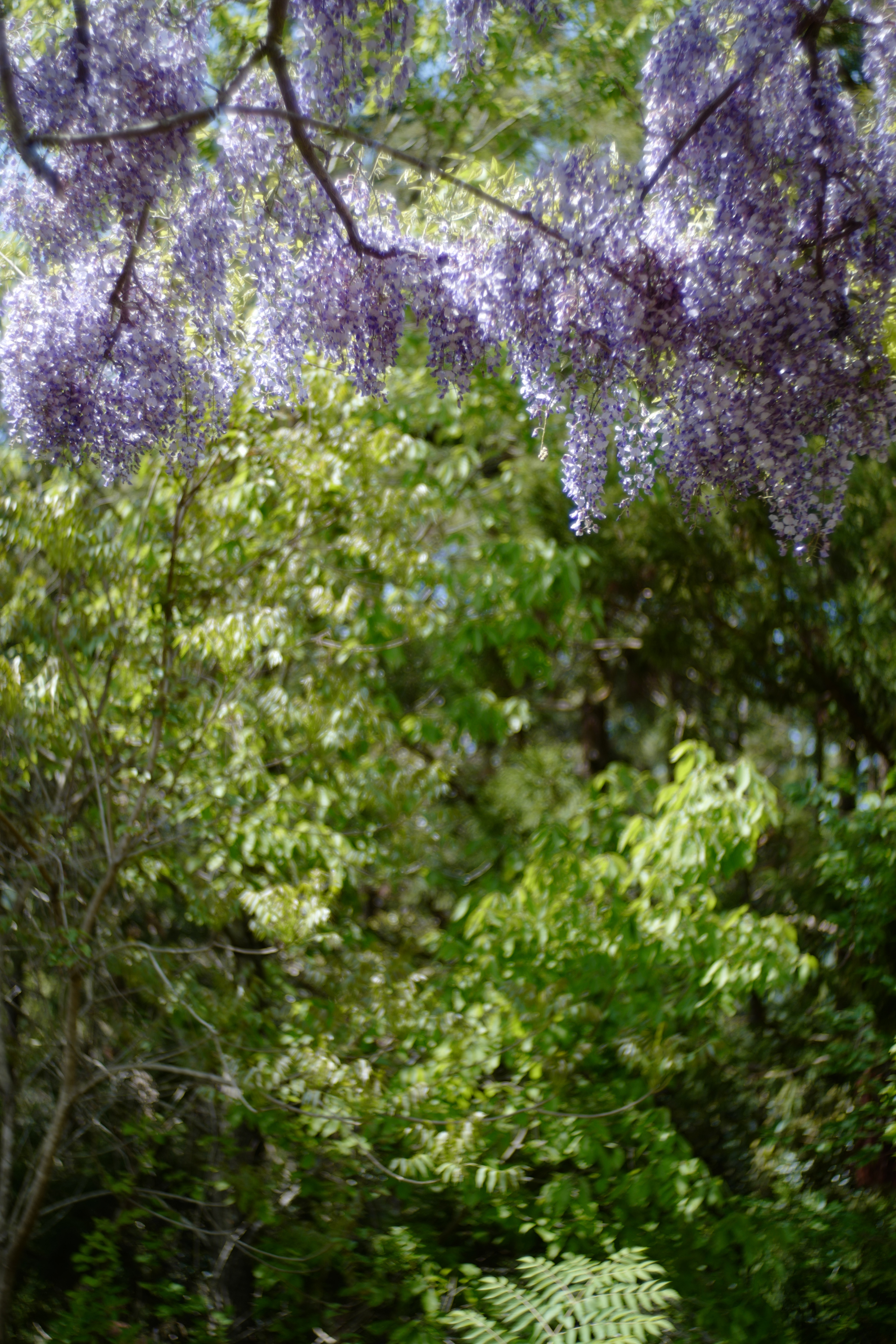 f:id:Zabilio:20190504163340j:image f:id:Zabilio:20190504163340j:image