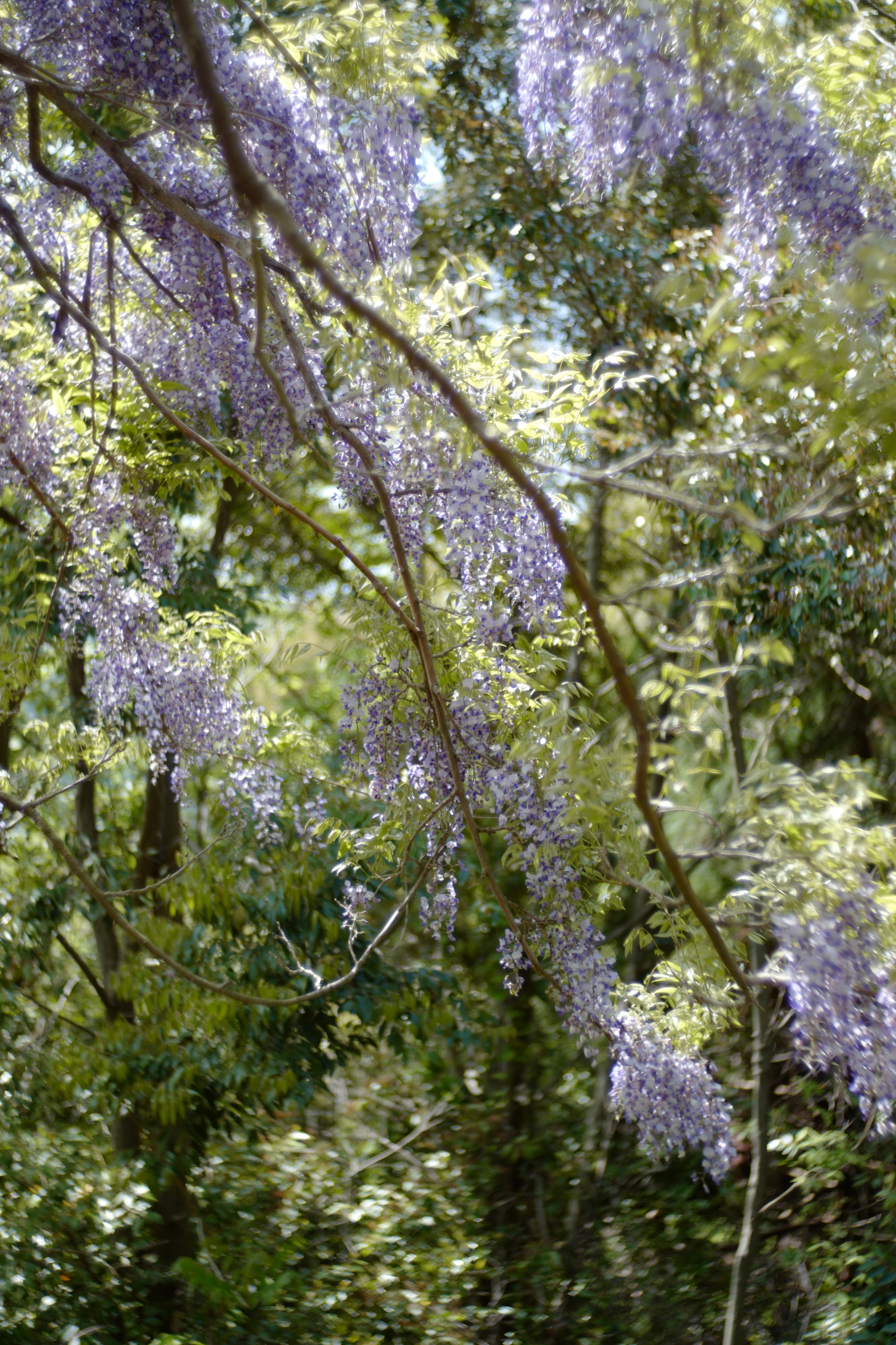f:id:Zabilio:20190504163400j:image f:id:Zabilio:20190504163400j:image