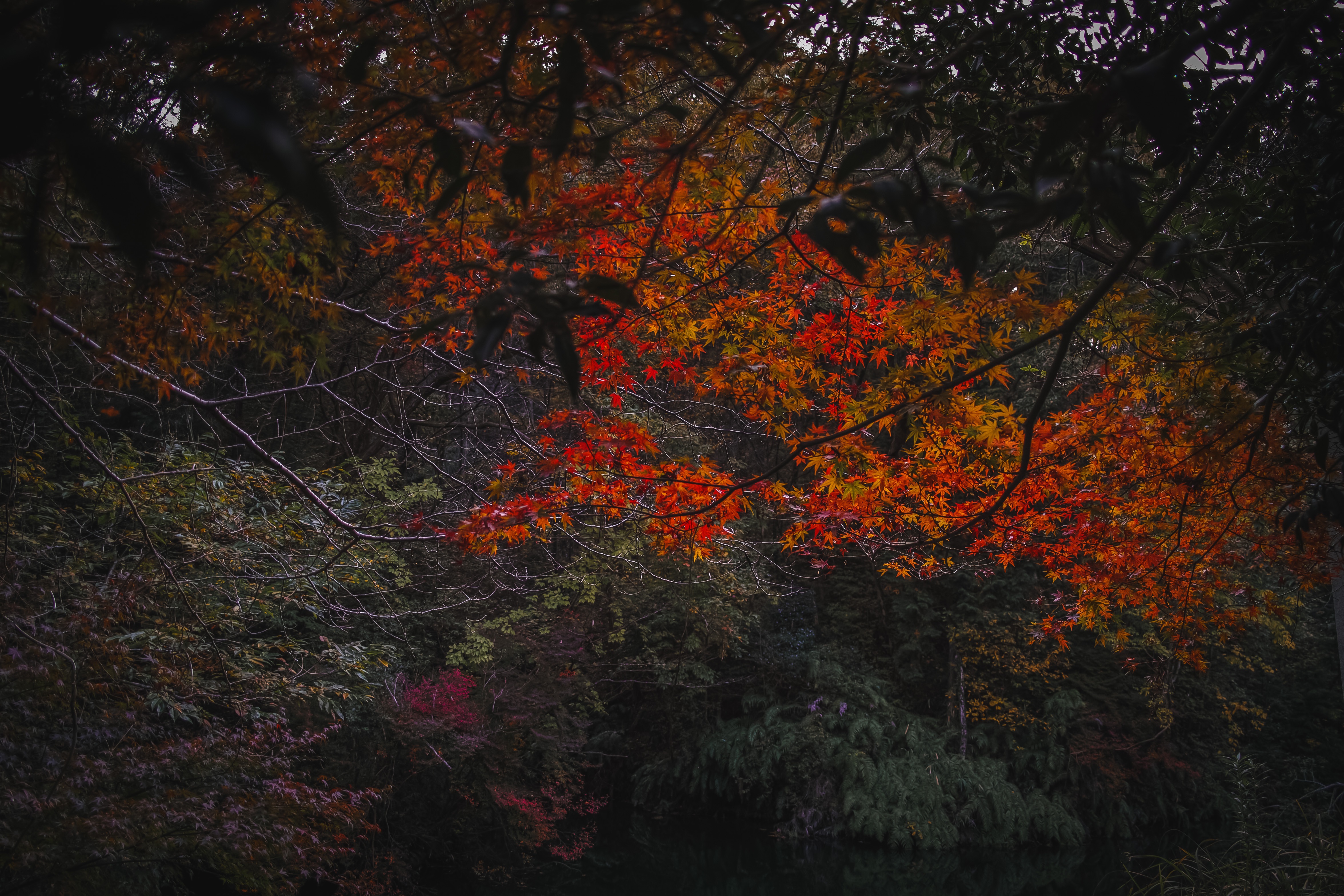 f:id:Zabilio:20211123201139j:image
