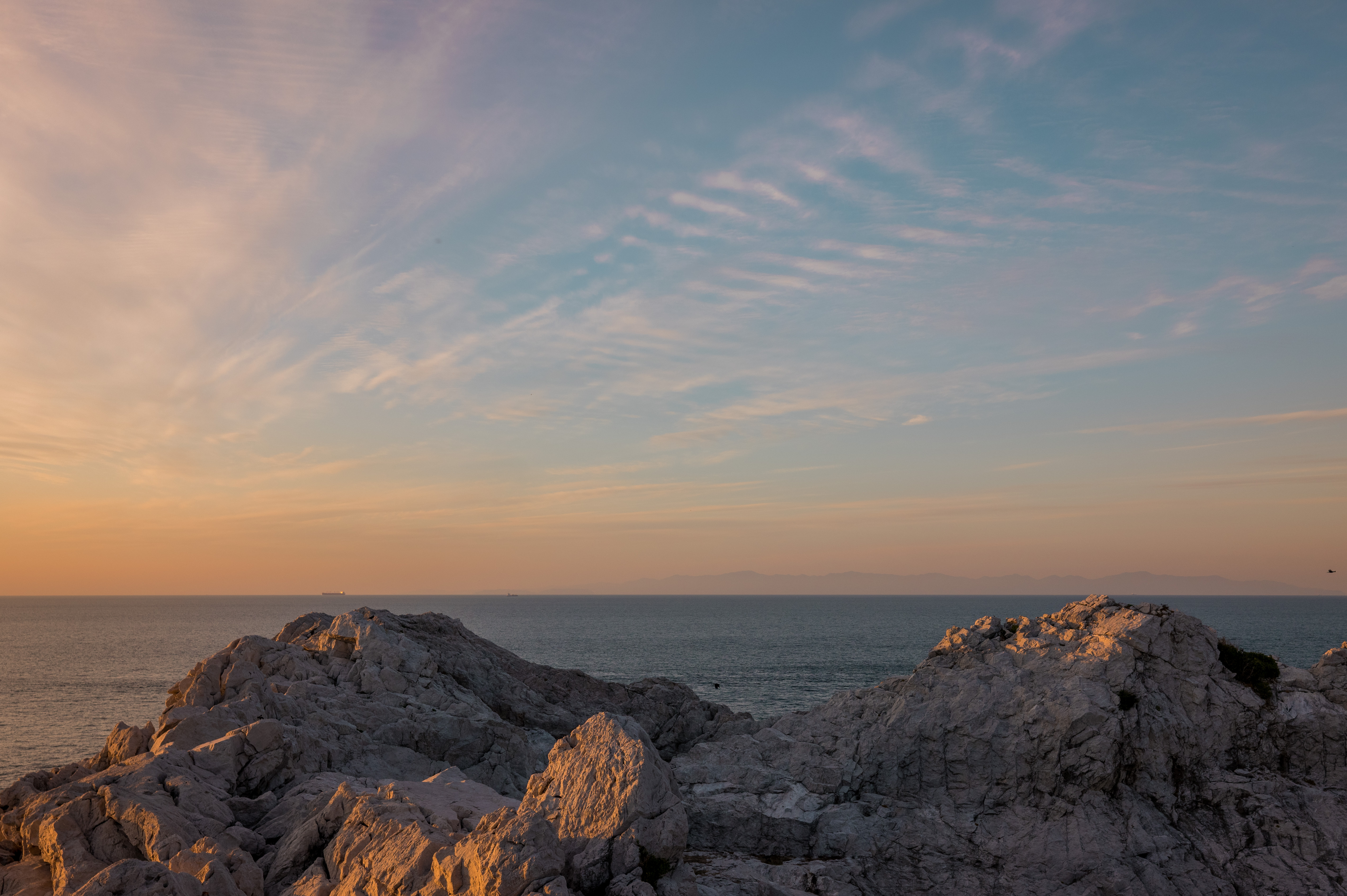 f:id:Zabilio:20211222233723j:image