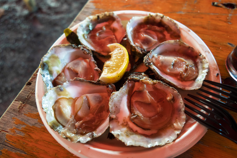 アイルランド ゴールウェイのオイスターフェスティバルで牡蠣を食らう - Zackey98.com